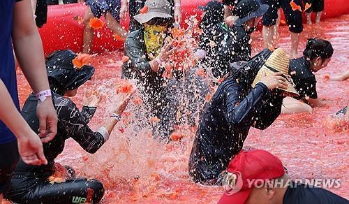 토마토와 함께 물아일체